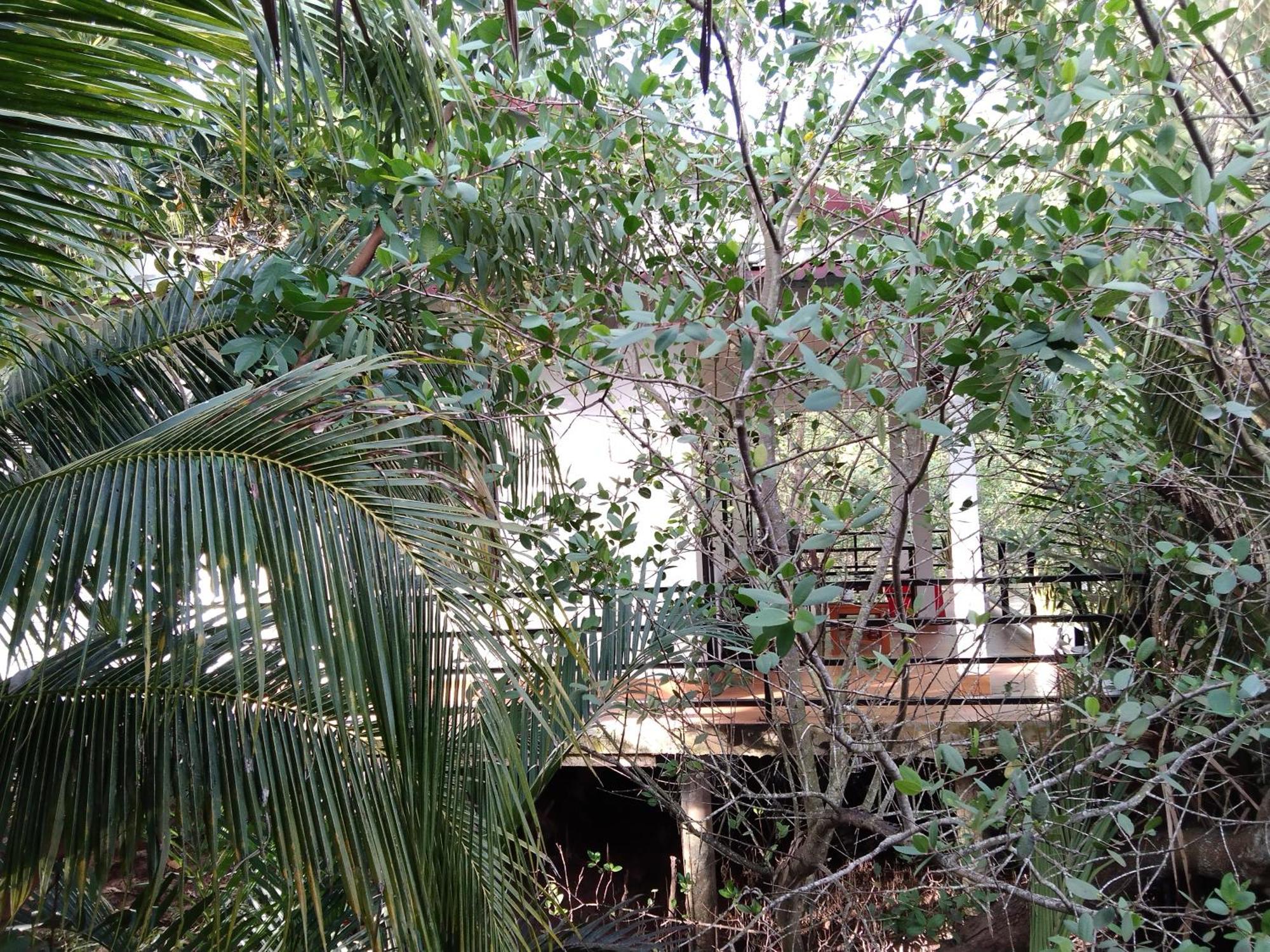 Quoc Phuong Riverside Homestay Ben Tre المظهر الخارجي الصورة